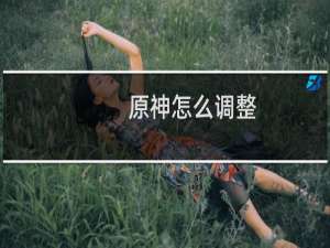 原神怎么调整