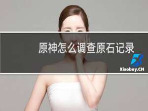 原神怎么调查原石记录
