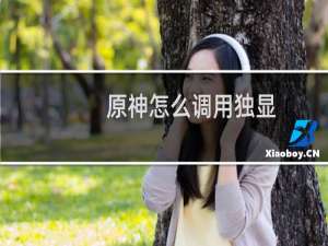 原神怎么调用独显