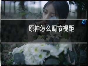 原神怎么调节视距