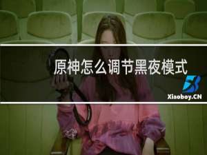 原神怎么调节黑夜模式