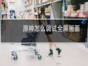 原神怎么调试全屏画面