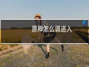 原神怎么调进入