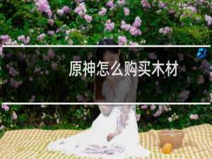 原神怎么购买木材