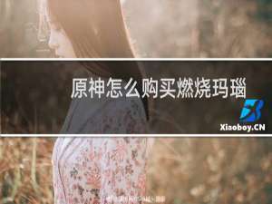 原神怎么购买燃烧玛瑙