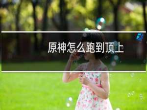 原神怎么跑到顶上