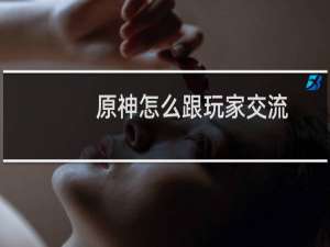 原神怎么跟玩家交流