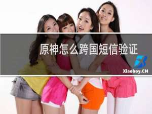 原神怎么跨国短信验证