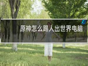 原神怎么踢人出世界电脑