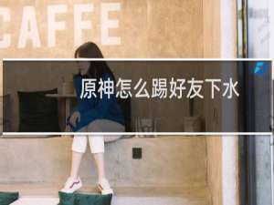 原神怎么踢好友下水