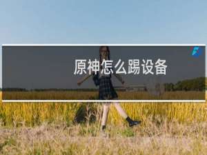 原神怎么踢设备