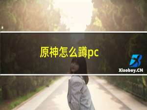 原神怎么蹲pc