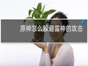 原神怎么躲避雷神的攻击