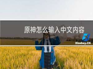 原神怎么输入中文内容