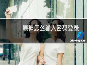 原神怎么输入密码登录