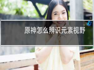 原神怎么辨识元素视野