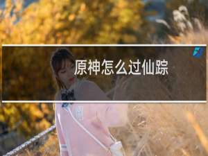原神怎么过仙踪