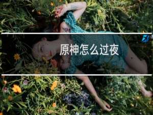 原神怎么过夜