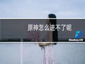 原神怎么进不了呢
