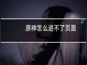 原神怎么进不了页面