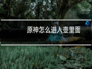 原神怎么进入壶里面