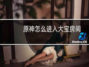 原神怎么进入大宝房间