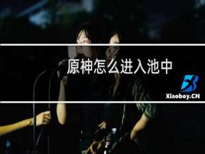 原神怎么进入池中