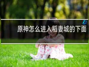 原神怎么进入稻妻城的下面