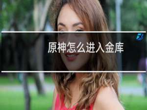 原神怎么进入金库