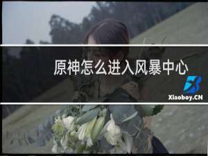 原神怎么进入风暴中心