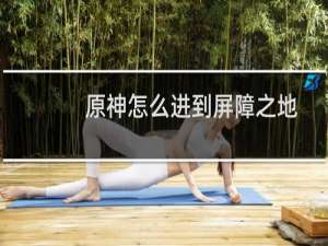 原神怎么进到屏障之地