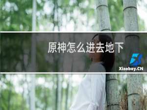 原神怎么进去地下