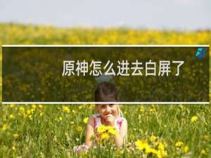 原神怎么进去白屏了
