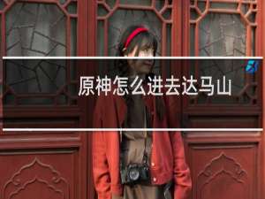 原神怎么进去达马山