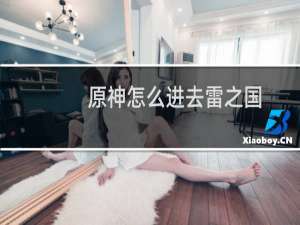 原神怎么进去雷之国