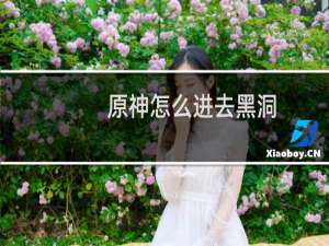 原神怎么进去黑洞