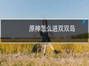 原神怎么进双双岛