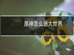 原神怎么进大世界