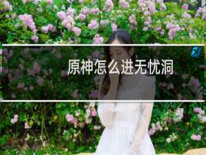 原神怎么进无忧洞
