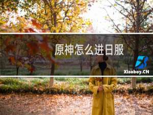 原神怎么进日服