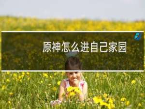 原神怎么进自己家园