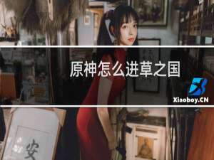 原神怎么进草之国