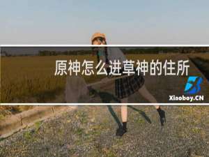 原神怎么进草神的住所