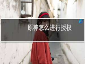 原神怎么进行授权