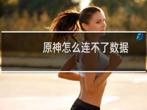 原神怎么连不了数据