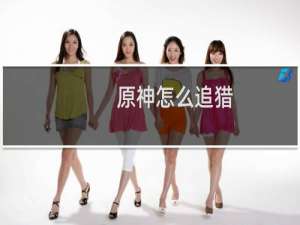 原神怎么追猎