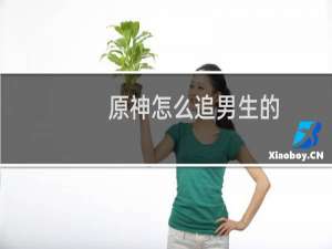 原神怎么追男生的