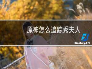 原神怎么追踪秀夫人