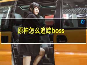 原神怎么追踪boss