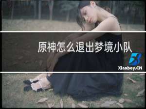 原神怎么退出梦境小队
